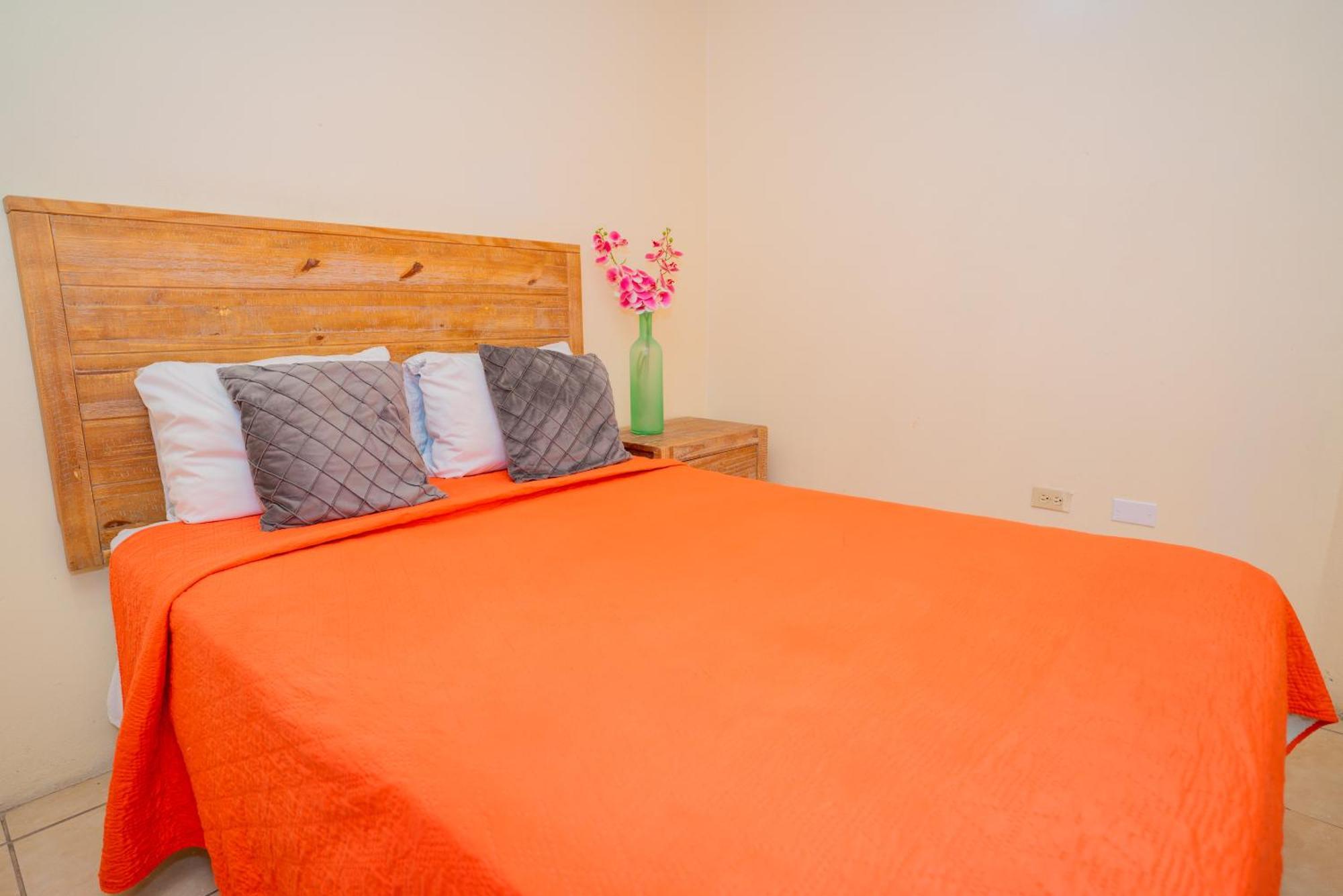 Connie'S Comfort Suites St. John's Экстерьер фото