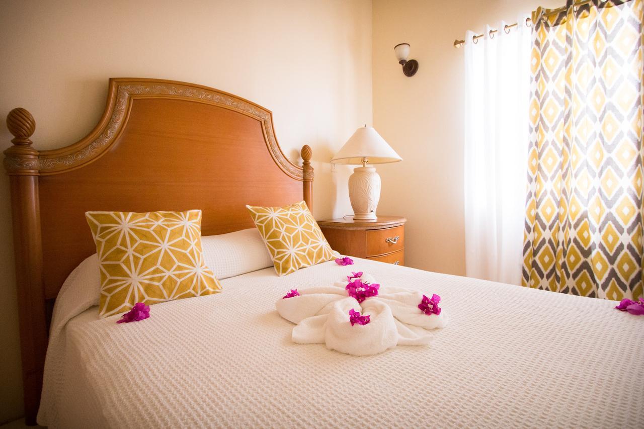 Connie'S Comfort Suites St. John's Экстерьер фото