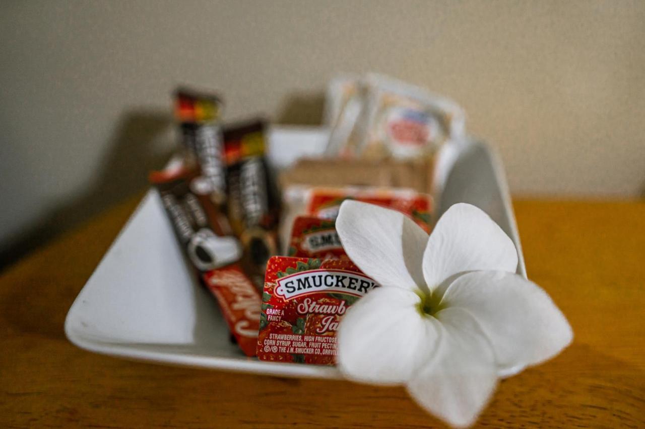 Connie'S Comfort Suites St. John's Экстерьер фото